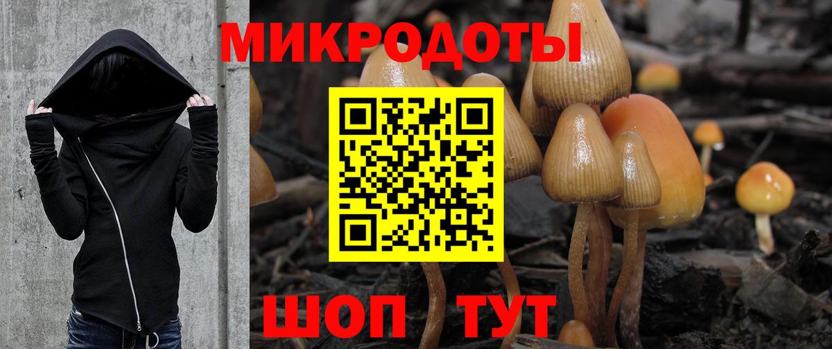 Галлюциногенные грибы мицелий Долгопрудный