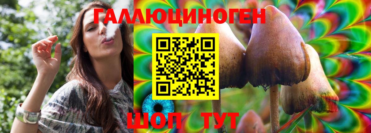 цены   Псилоцибиновые грибы Psilocybe  Вход с VPN  Долгопрудный 