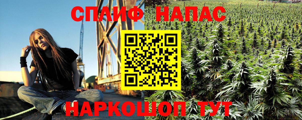 Конопля план Долгопрудный